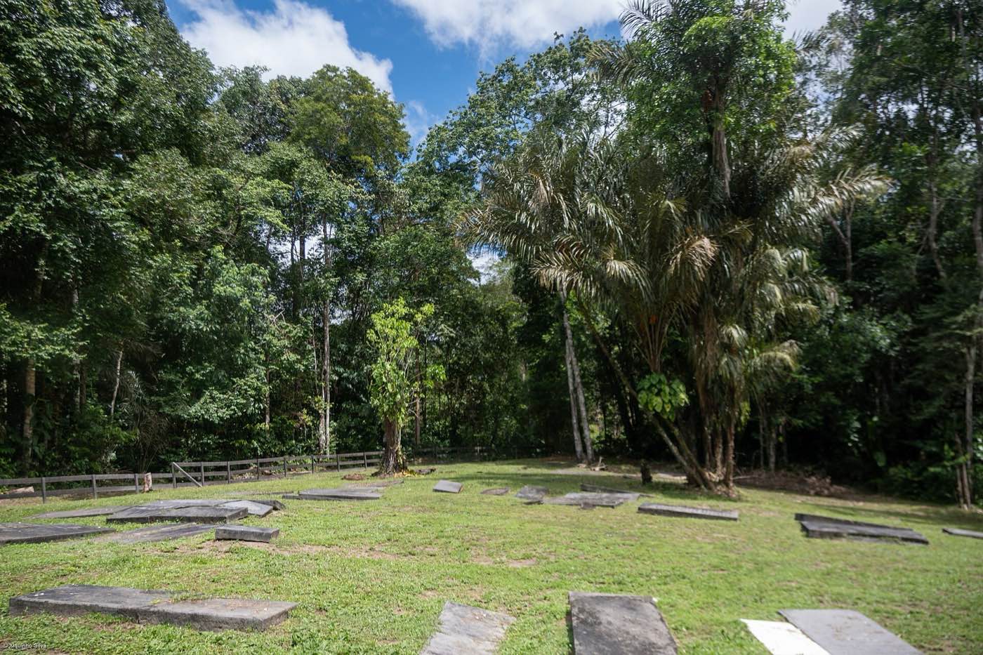 Rows of flat gravestones in a forest clearing at the Jodensavanne archaeological site.