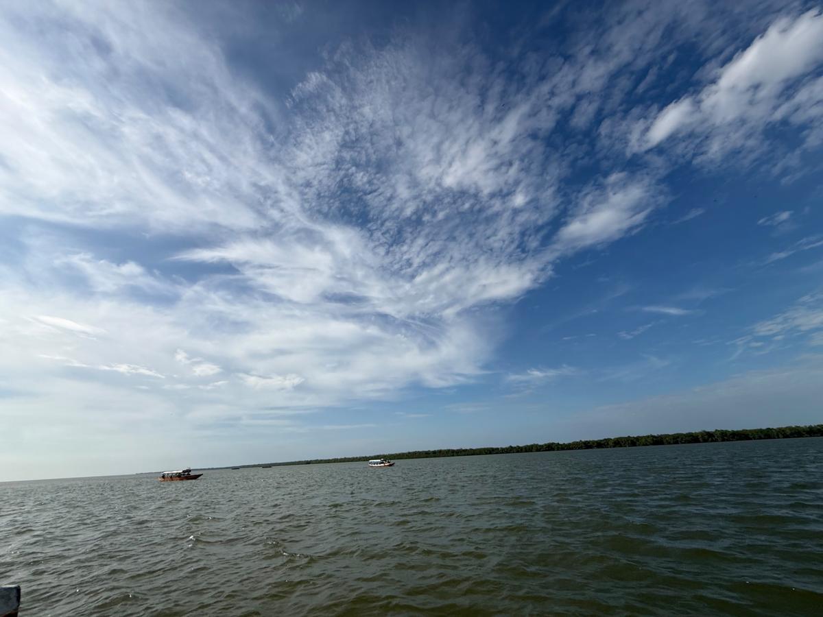 Wide river under a blue sky with high cloud, two tour boats in the distance and a line of mangrove on the far bank