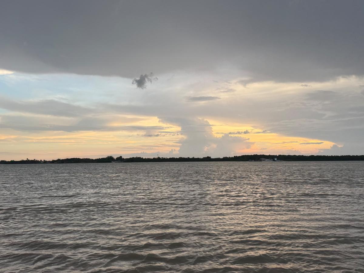 Sunset over a choppy river, a towering cloud lit yellow and pink above the tree-lined far bank